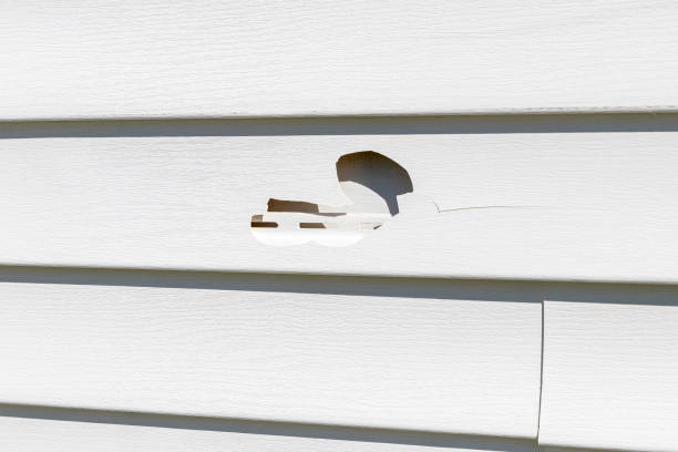 Best Hoarding Cleanup  in Saegertown, PA